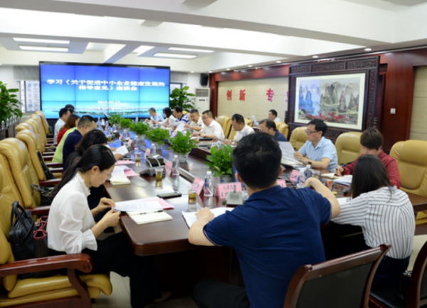 公司受邀参加省非公办促进中小企业健康发展调研座谈会并作交流发言