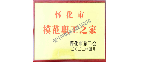 懷化市模范職工之家
