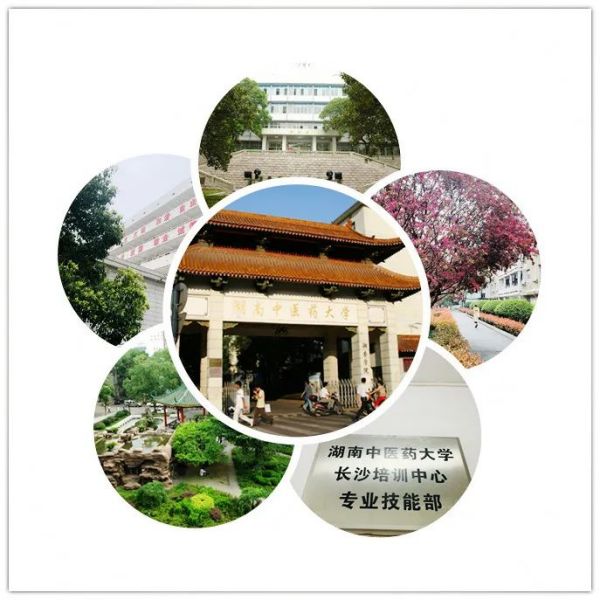 培训中心学员最新学习心得来了，他们竟然是这样评价的……
