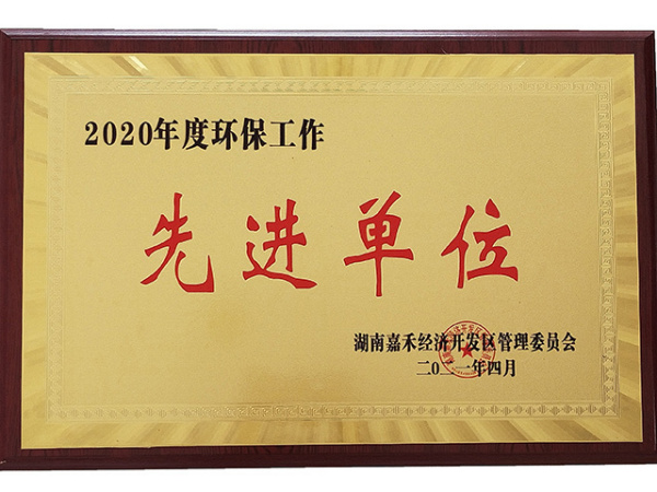 2020 Advanced Unit of Environmental Protection Work