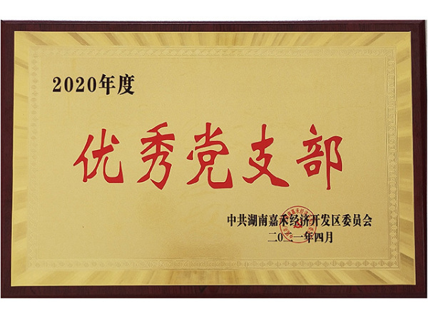 2020 Excellent Party Branch