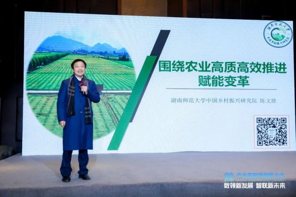陈文胜：围绕农业高质量高效推进赋能变革”