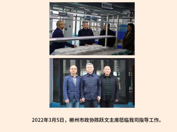 郴州市政协陈跃文主席莅临我司指导工作