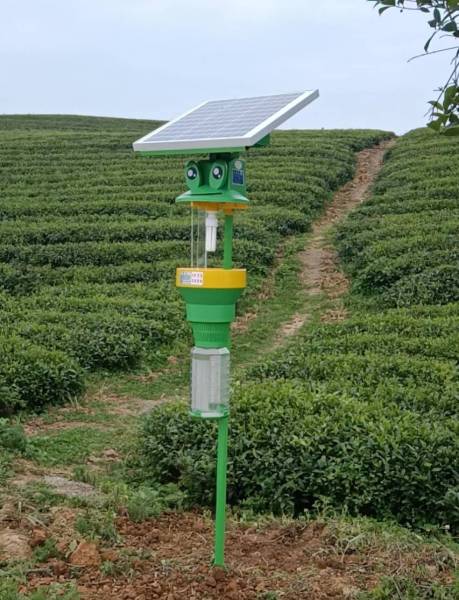 太阳能频振式杀虫灯 无公害杀虫成为农业发展主流