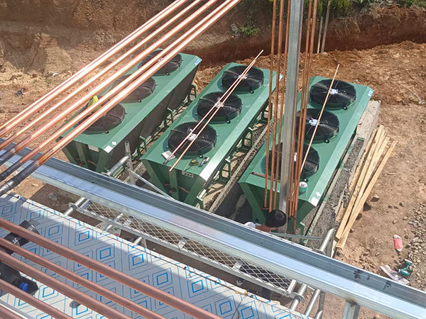 果蔬保鲜冷库建设
