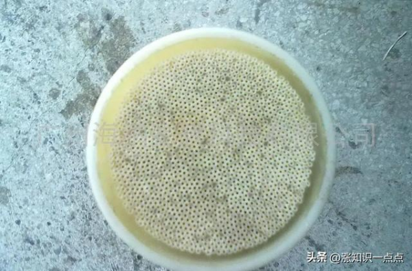 图片 5