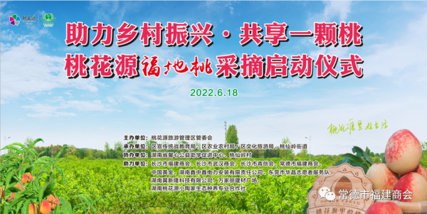 【以“桃”为媒，助力乡村振兴】常德市福建商会出席“桃花源·福地桃”采摘启动仪式