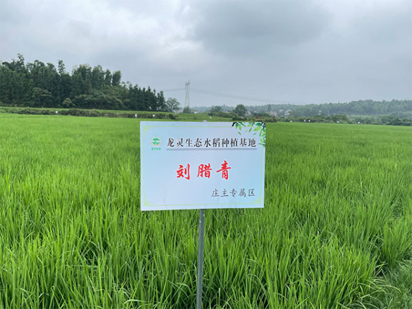 生态基地
