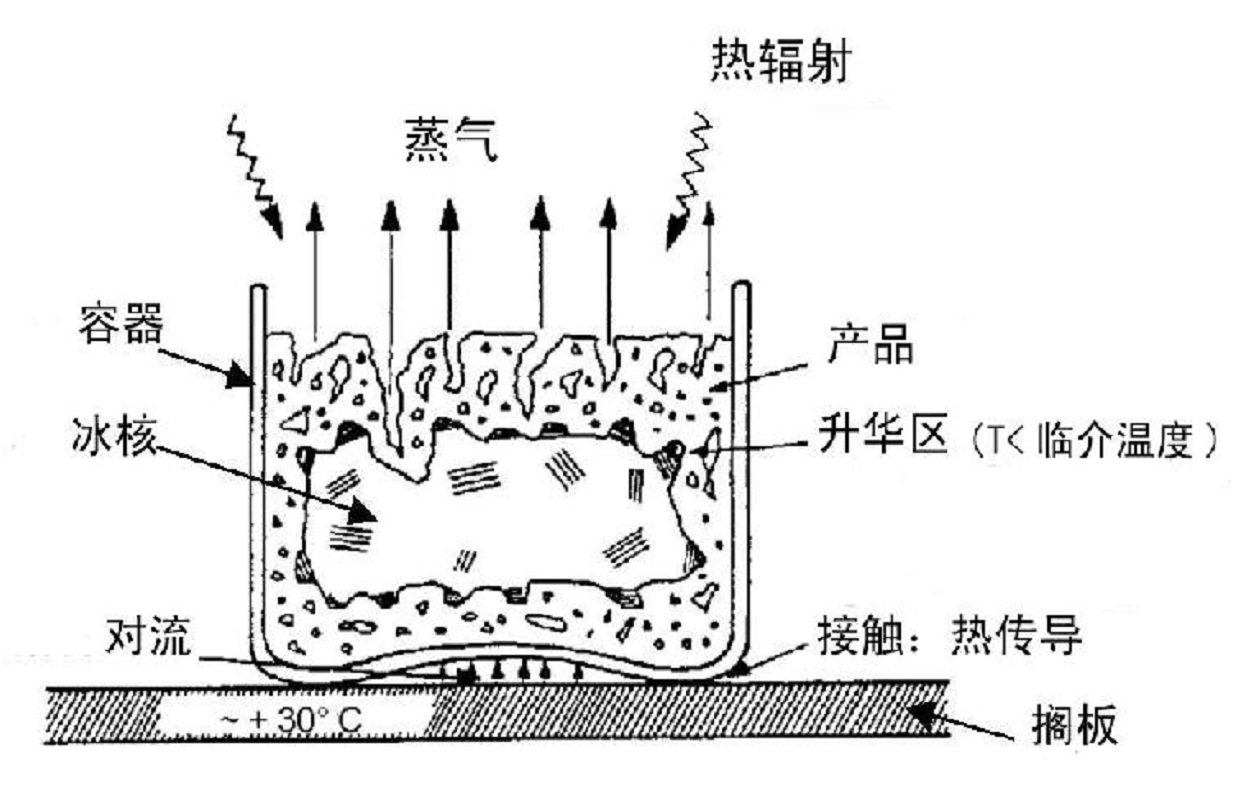 微信图片_20221123093920