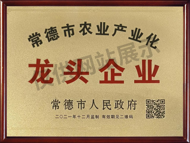 公司门图_0001_仅供网站展示