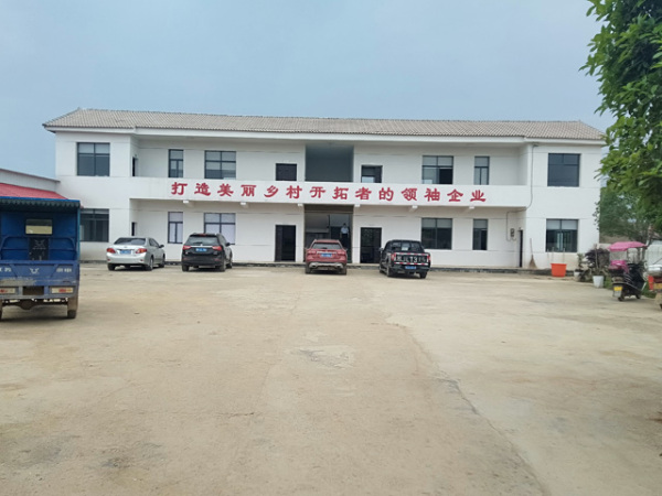 公司门图
