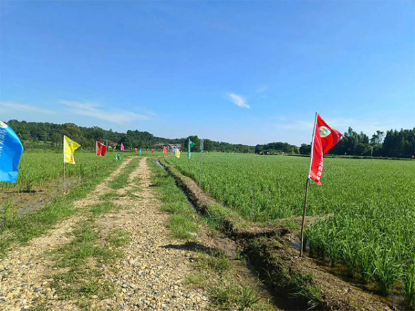 生态基地