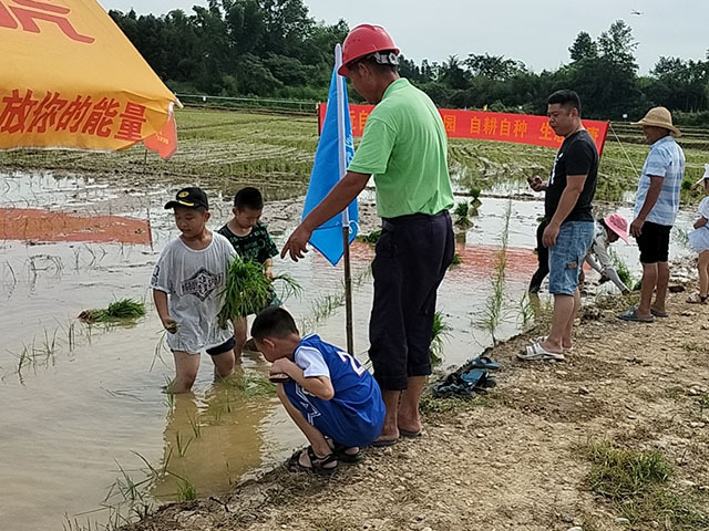 1_0002_微信图片_2022062615183544