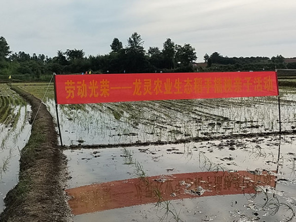 生态基地