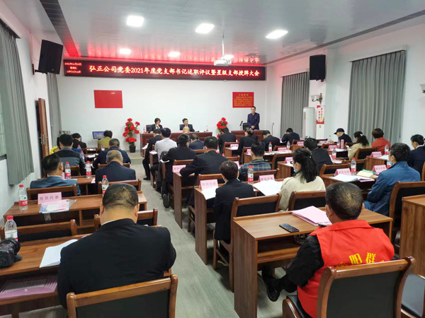 抓党建  议党建  强党建