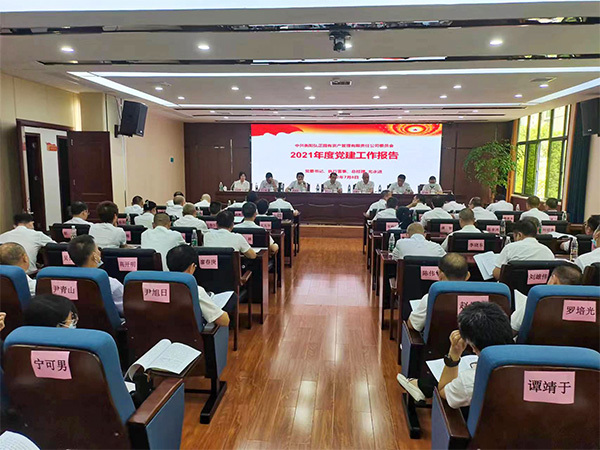 公司党委召开“两优一先”表彰大会