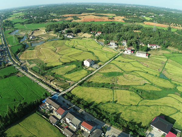 基地鸟瞰