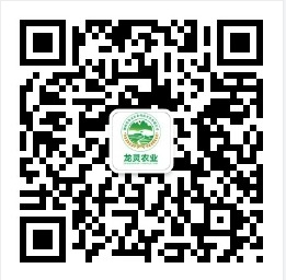 d7152645d01e2385cd0b