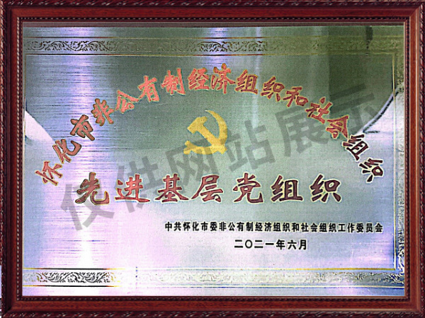 先进基层党组织