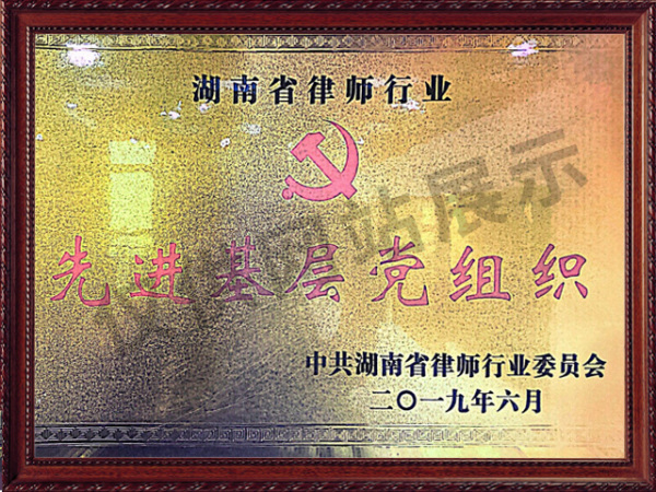 2019先进基层党组织