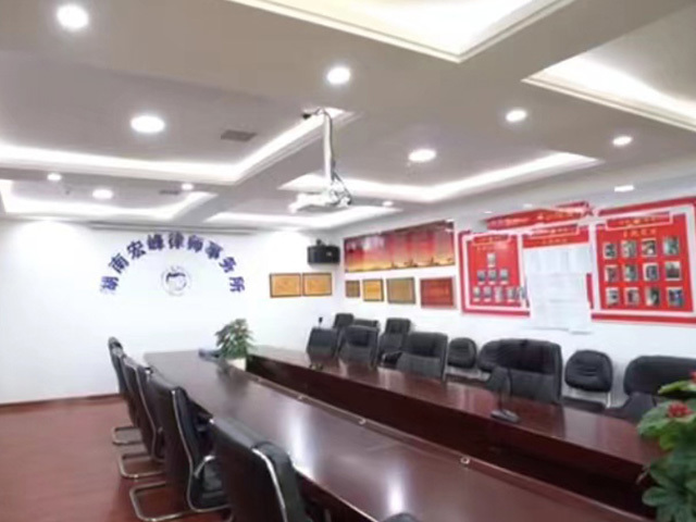 刑事领域