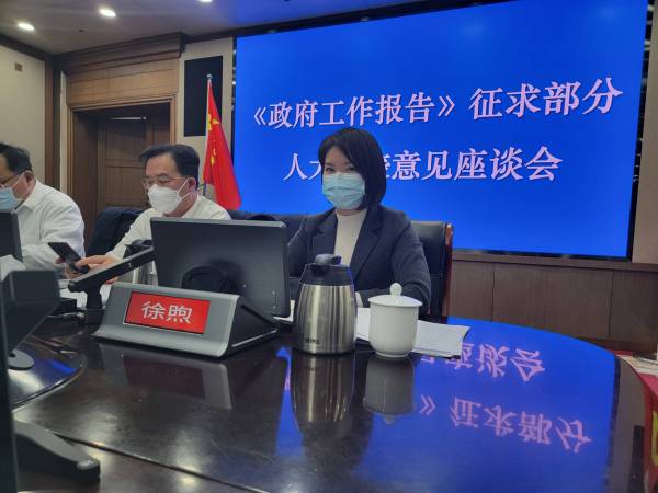 《政府工作报告》征求部分人大代表意见座谈会