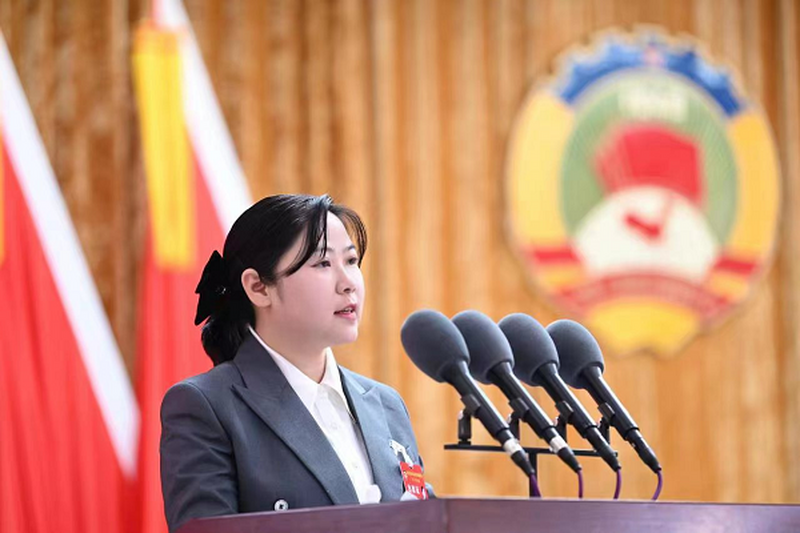 履职尽责显担当 天心民进两会展风采