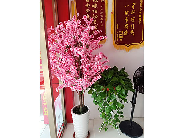店内环境
