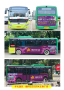 靖州紫荊花公交車廣告實景圖