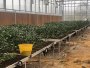智慧物联网系统