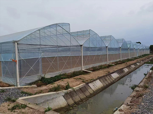长沙市望城锯齿薄膜连栋智能温室大棚
