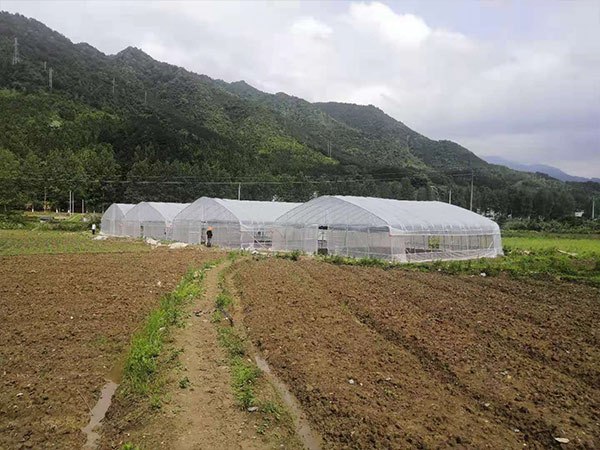 永州双牌县恒康药房药材种植大棚成品