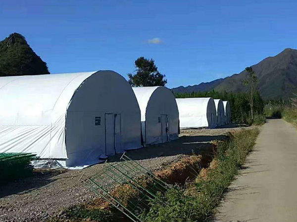永州刘总单体圆拱温室大棚蘑菇棚养殖温室棚