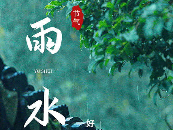 今日节气，雨水