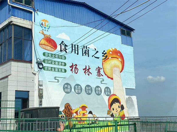 乡村振兴彩绘