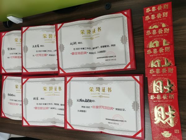 年度总结和表彰大会4