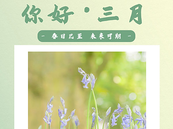 你好，3月