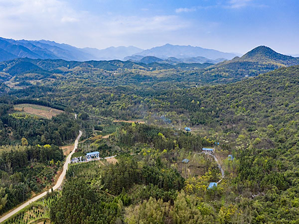 养殖基地