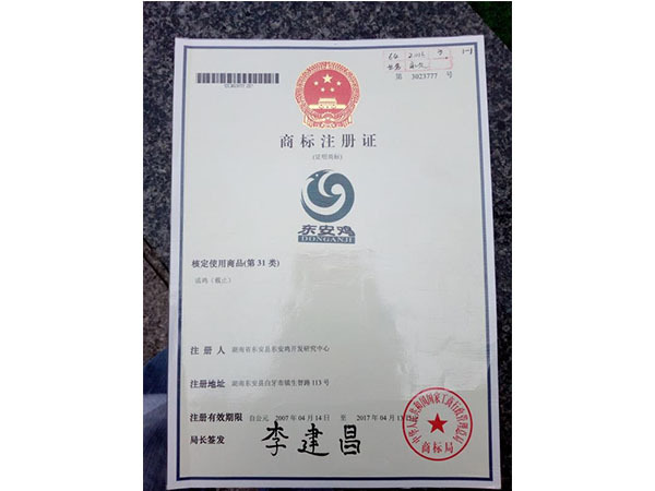 _0000_图片 12