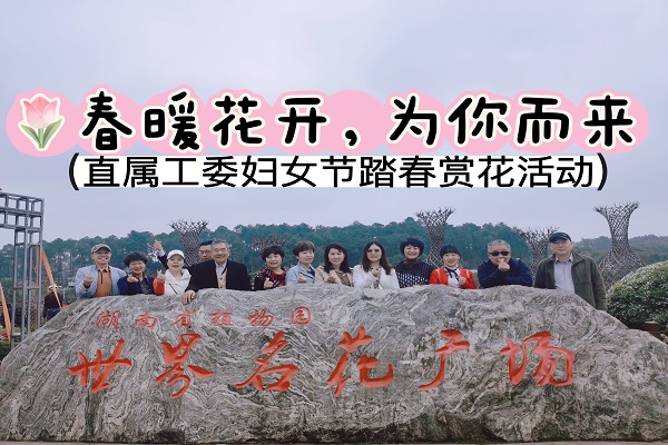春暖花开 为你而来——民进直属工委开展“三八”妇女节踏春赏花