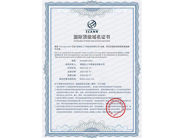 恭喜公司获得网站的国际域名