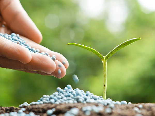 农业农村部：有机肥配合化肥是当下科学的施肥方式！