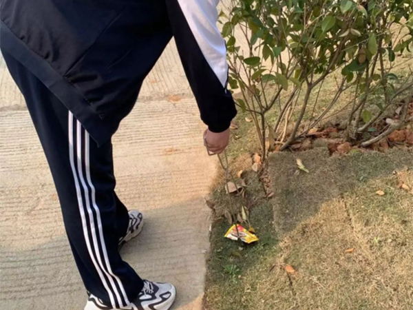 学校动态584