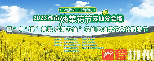 2023湖南油菜花节