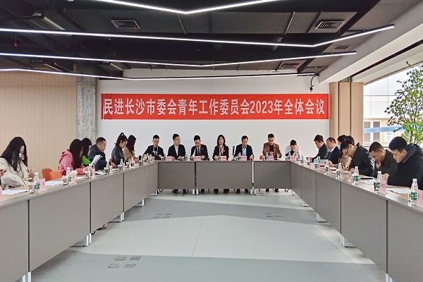 民进长沙市委会青年工作委员会全体会议召开3