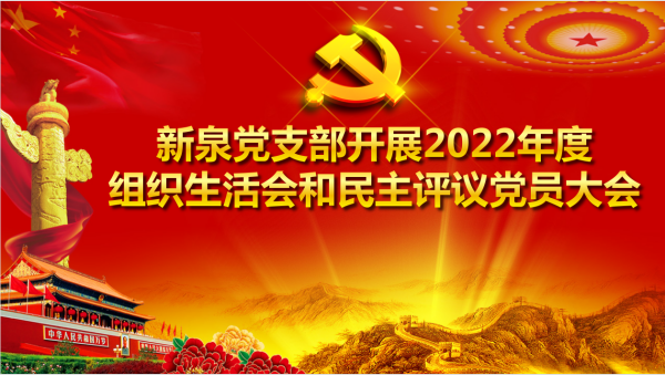 新泉党支部成功召开2022年度组织生活会暨民主评议大会