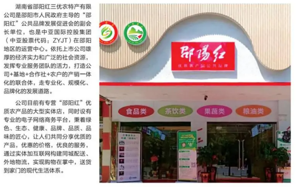 【商会互访】邵阳市邵阳红促进会一行莅临我会指导工作
