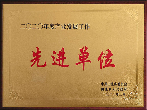 2020年度产业发展工作先进单位