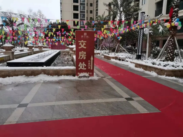 图片 5