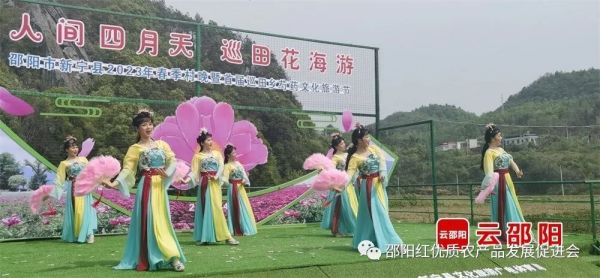 图片 3